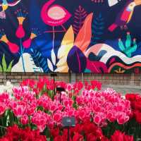 荷蘭🇳🇱盧瑟·花卉展覽活動&花藝創作比賽🌷🍀 Keukenhof 庫肯霍夫