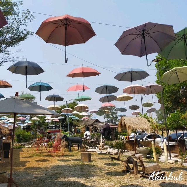 check in คาเฟ่