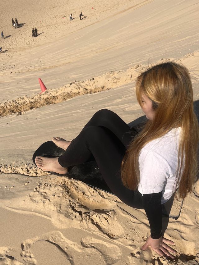 호주 시드니 사막에서 모래썰매타기 🏝️