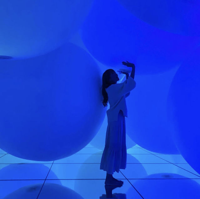 《東京・豊洲》1度は行きたいオススメSPOT💫