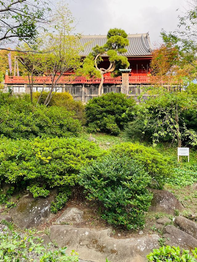 【東京都/清水観音堂】清水寺を彷彿させるお堂