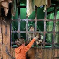 The Clink Prison Museum Unveiled!
