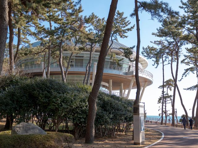 부산 산책하기 좋은 동백섬, 데이트 코스로 좋아