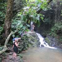 Phuket Ethical Elephant Sanctuary 