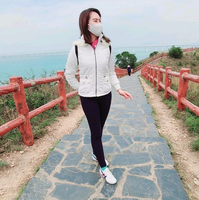 虎山 行