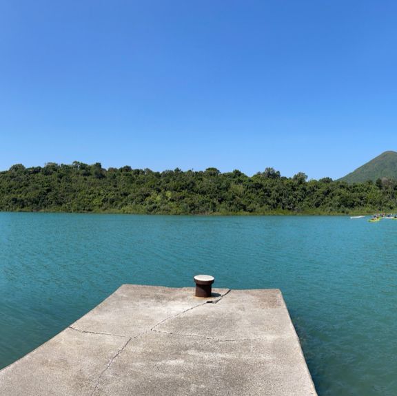西貢紅樹林美景