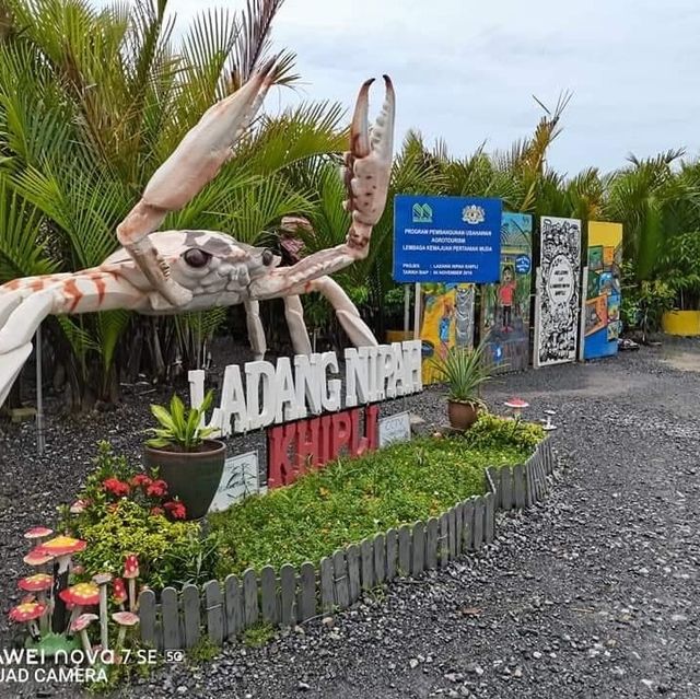 LADANG NIPAH KIPLI, Sanglang Perlis