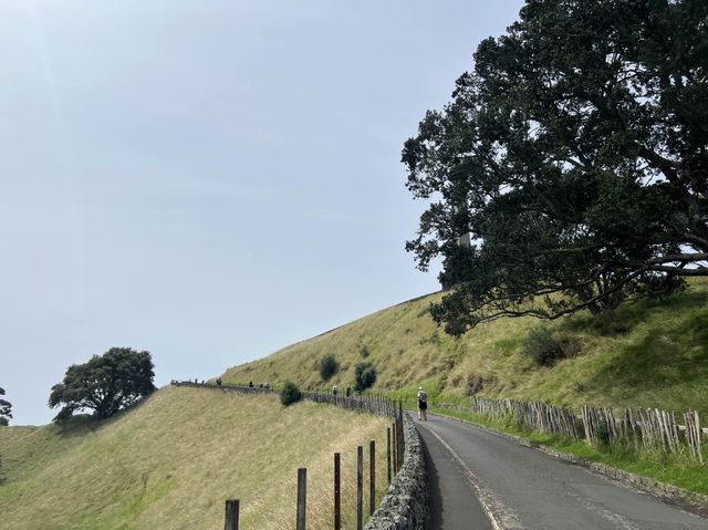 直接飛來紐西蘭了，第一站｜奧克蘭市區必去景點