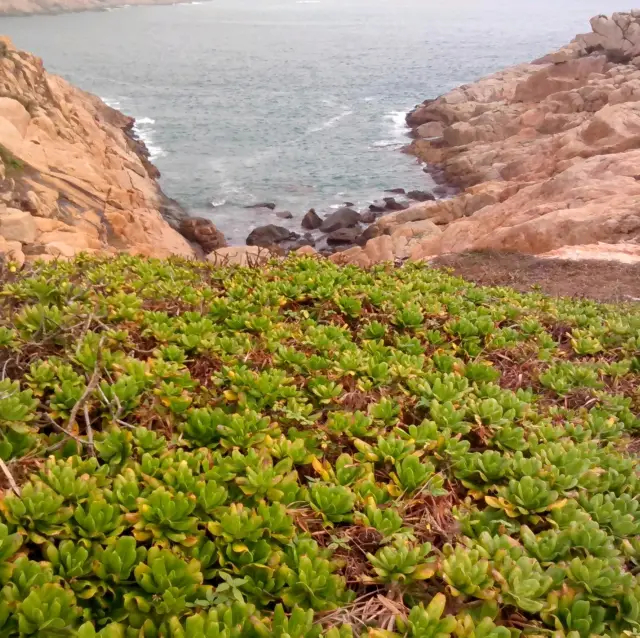 暢遊蒲台島,眼睛去遊行!