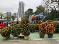 The Biggest Chinese New Year Flower Market In Hong Kong
