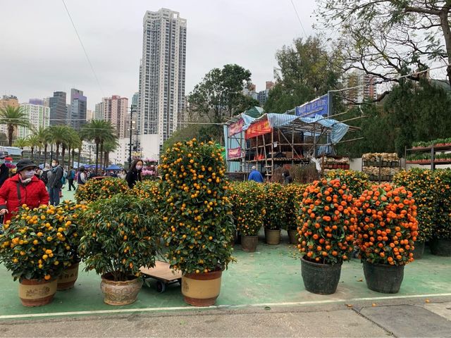 The Biggest Chinese New Year Flower Market In Hong Kong