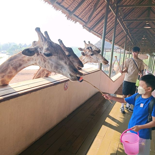 泰國最大野生動物園Safari world