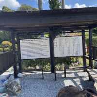 【沖縄県】やちむんの里でうつわ探しの旅！