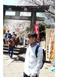 全東京最多櫻花樹的地標「上野恩賜公園」賞櫻打卡必去！