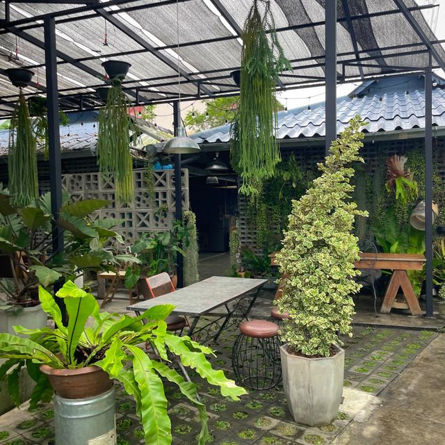 📍Nokhookcafe'- นกฮูกคาเฟ่ 