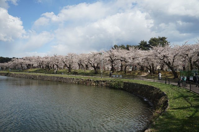 Hakodate - Eat, Walk, Repeat.