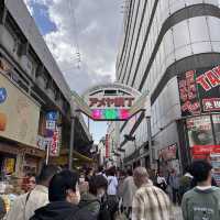 東京超大熱鬧賞櫻🌸地