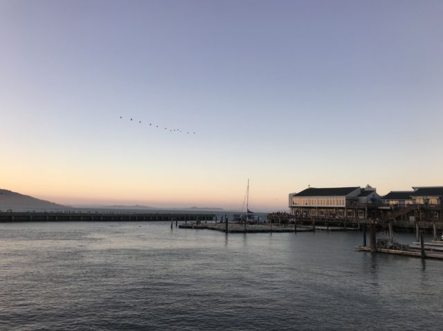 Pier 39: Where the Magic of San Francisco Unf