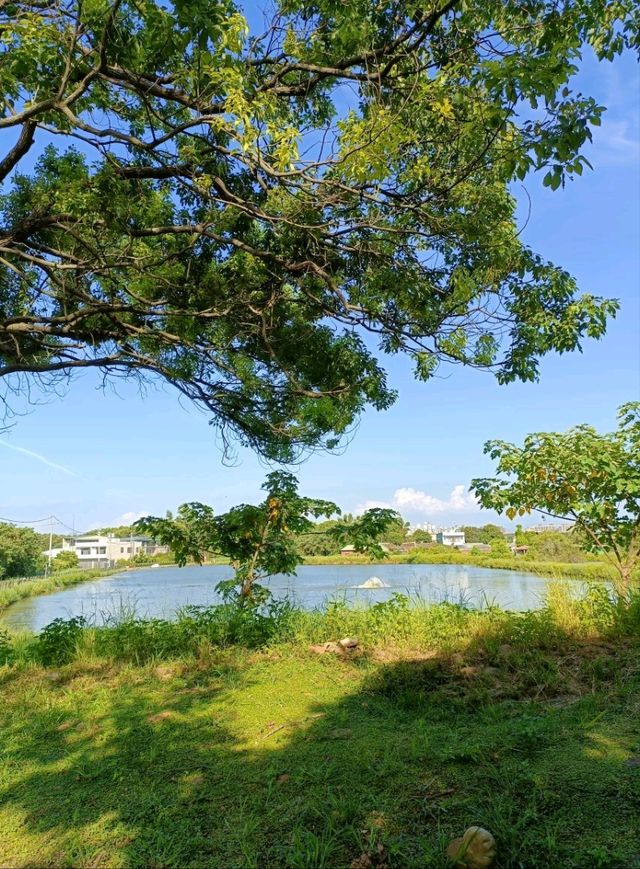 石門大圳過嶺支渠休憩步道