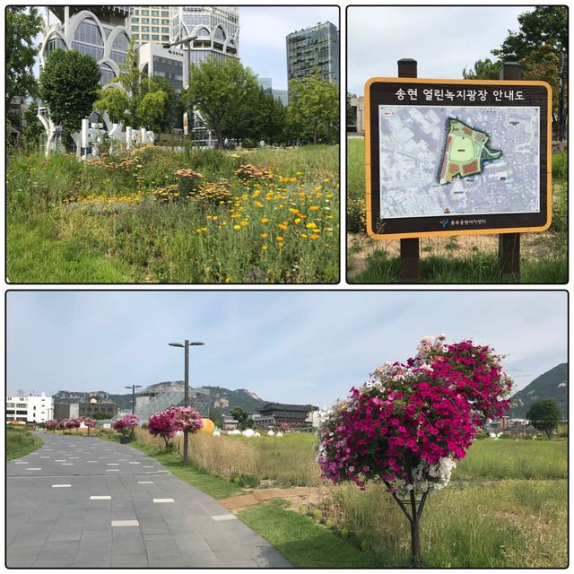 最新打卡景點📸❣️三清洞松峴綠地