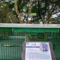 진주 진양호 동물원
