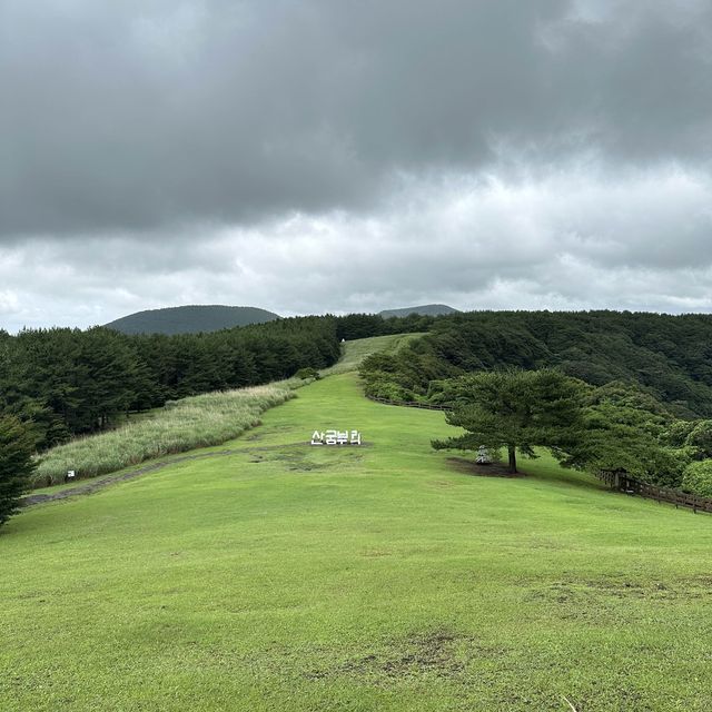 濟州島必訪景點：君山不離、牛島和山茶花之丘