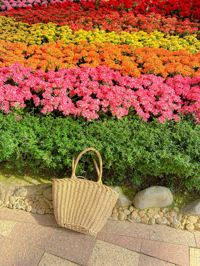 빈원더스 나트랑 꿀팁 : 식물원에서 쉬어가기🌺🌬️