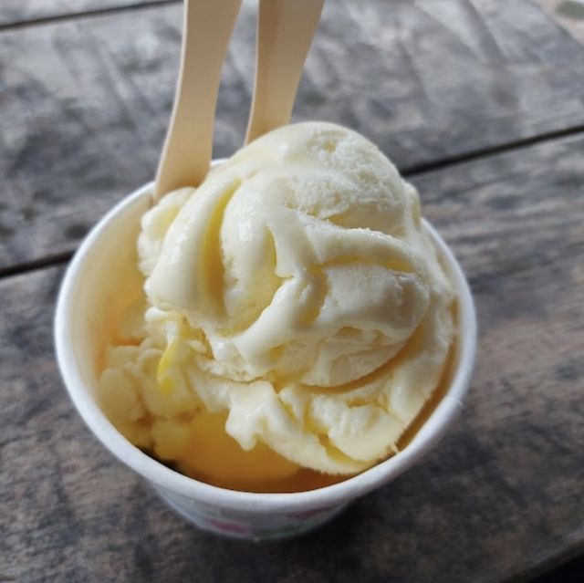 花蓮糖廠🍦啄木鳥的家 WPCASA 吃吃玩玩