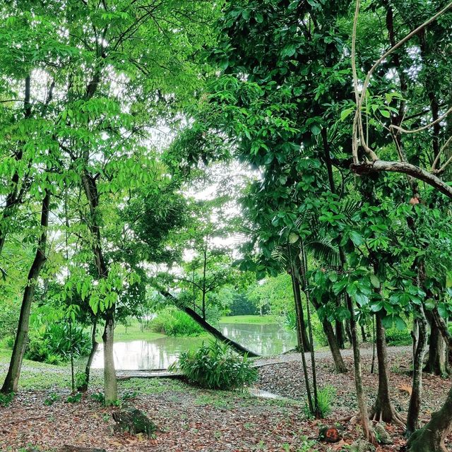 Jurong Lake Gardens: Nature, Play, Learn