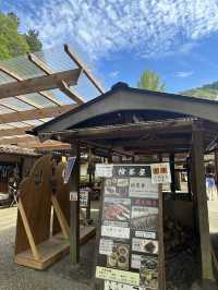《愛知旅行》 おすすめ観光スポット🚩香嵐渓!