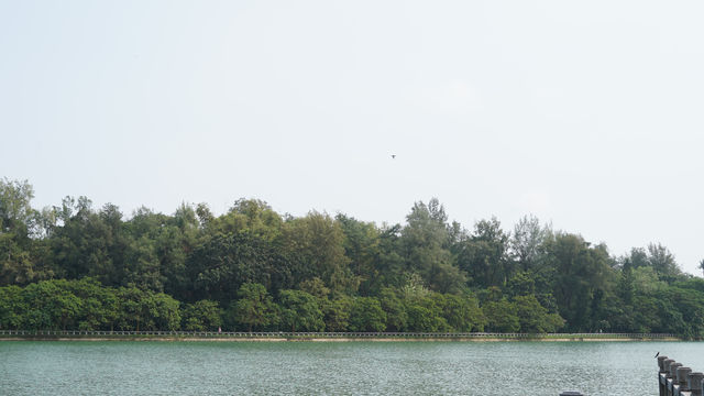 🏞️ 高雄澄清湖一日遊 🗺️