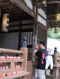 Katsuo-ji - Where Tranquility Meets Timeless 
