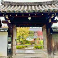 Tentoku-in Tranquility: Kyoto's Serenity