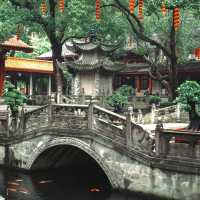 法光寺 🏯靈性與寧靜🙏✨