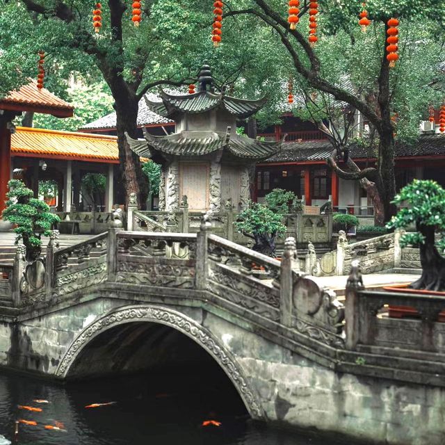 法光寺 🏯靈性與寧靜🙏✨
