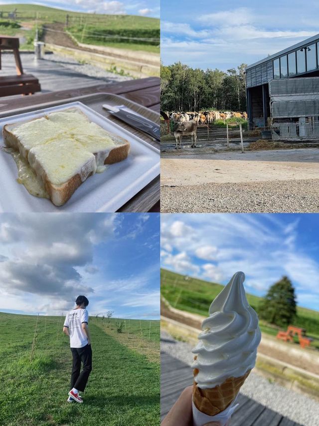 GWにおすすめ🧡美瑛で行きたいスポット3選☺️⁡🐄🌿‬🥛🥣【北海道】