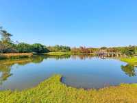 【港版加拿大湖🇨🇦~濕地公園🍁】