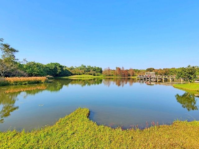【港版加拿大湖🇨🇦~濕地公園🍁】