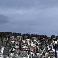 🇨🇭Arosa ฉันหนาวมาก 🐿️ 