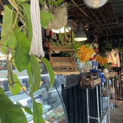 Nokhookcafe' User Photo