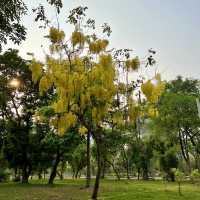 สวนลุมพินี พื้นที่สีเขียว ใจกลางกรุงเทพ