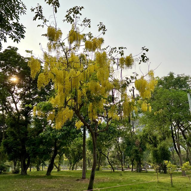 สวนลุมพินี พื้นที่สีเขียว ใจกลางกรุงเทพ