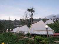 CAMP Phuchifa แคมป์ภูชี้ฟ้า 