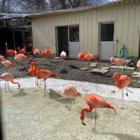 【長野県/長野市城山動物園と遊園施設】