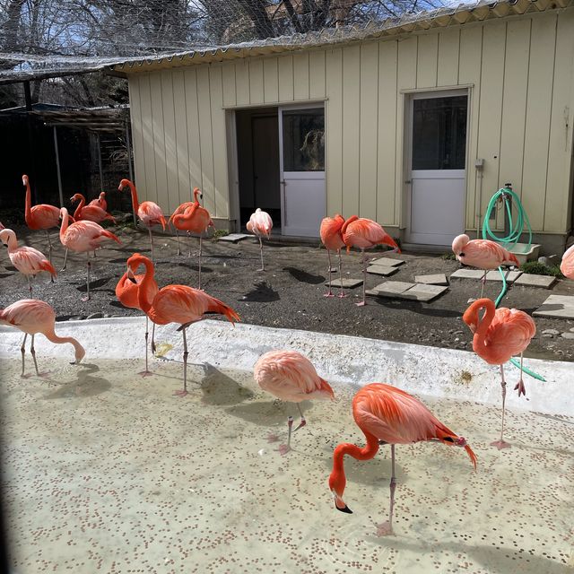 【長野県/長野市城山動物園と遊園施設】
