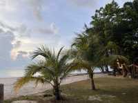 Armana Resort