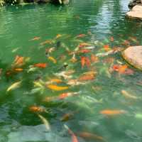 Rabbit Hole At Phuket 