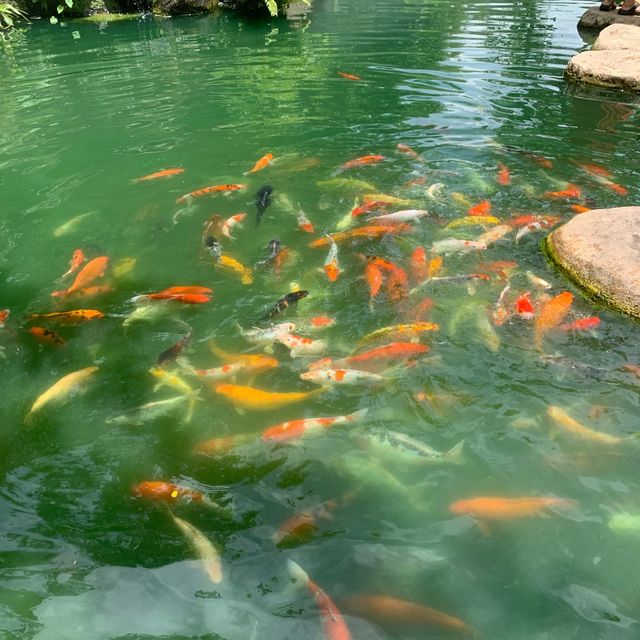 Rabbit Hole At Phuket 