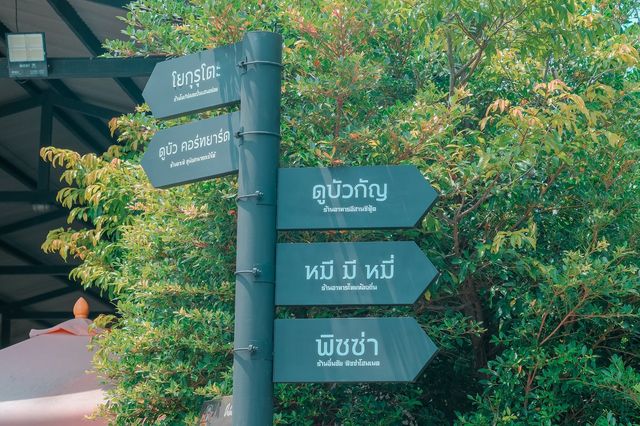 DubuaCafe : ดูบัว คาเฟ่ ฟาร์ม