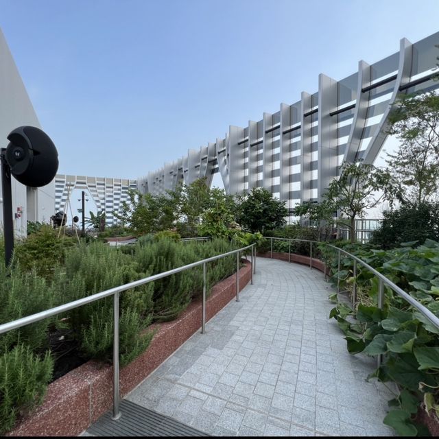 จุดชมวิวสิงคโปร์แบบพาโนรามา 360องศา Singapore 